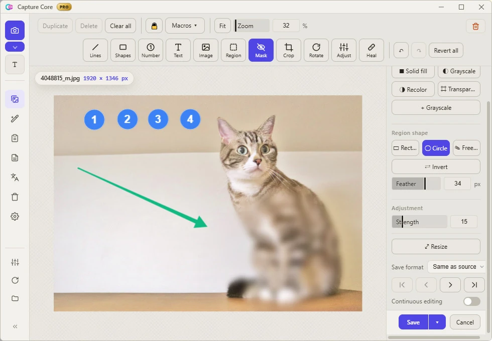 The Capture Core editor: a cat photo with numbered badges 1 to 4, an arrow, and a soft circular blur, with the mask settings panel on the right